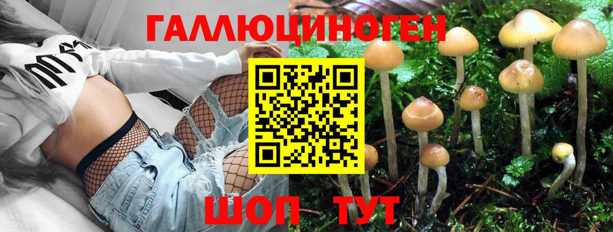 Лыткарино  Галлюциногенные грибы Psilocybine cubensis  Вход с VPN 