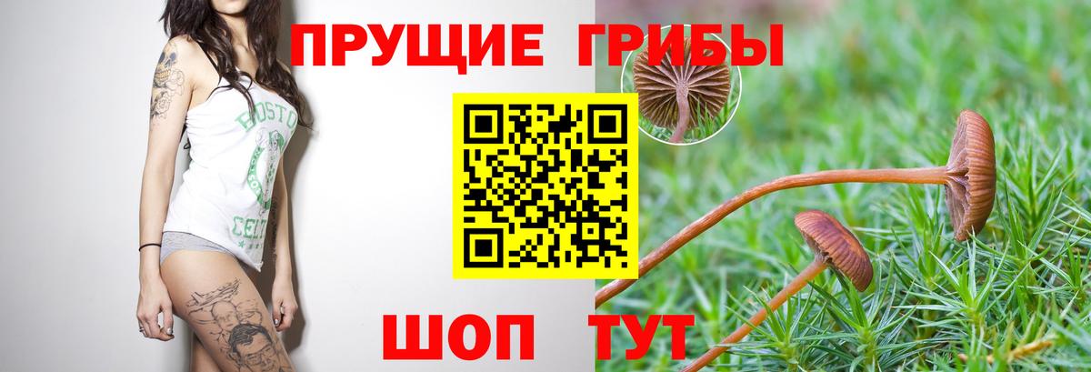 Галлюциногенные грибы мухоморы Лыткарино